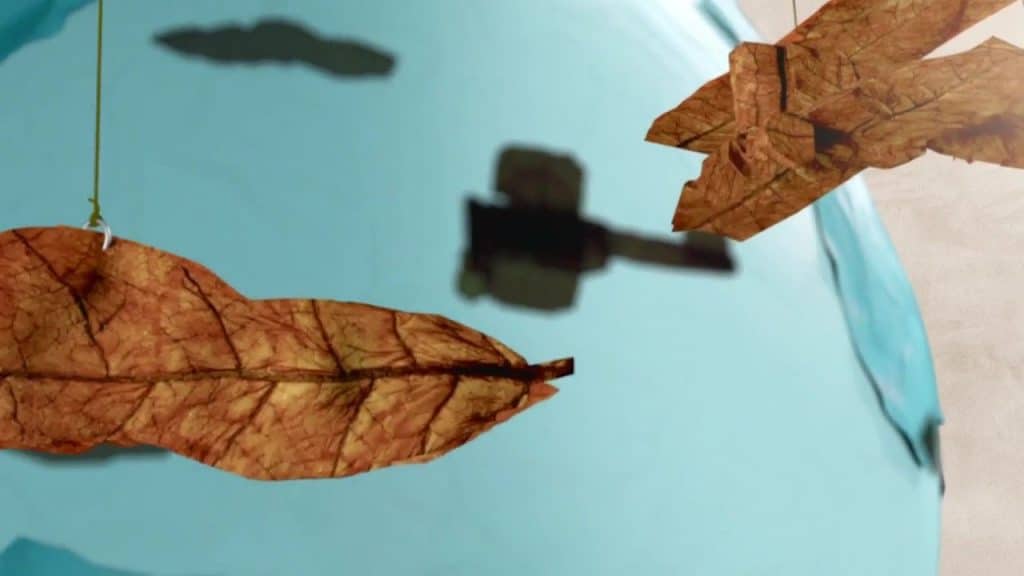 3D Animation Biplane Projection Chesterfield