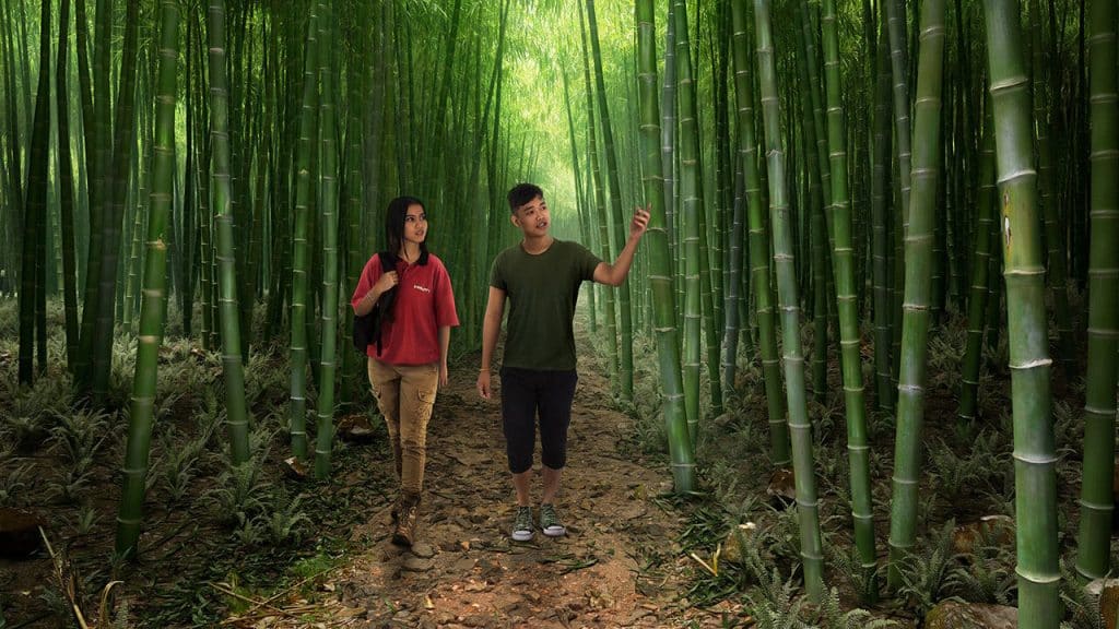 Hilti Disaster Recovery 360 Virtual Animations