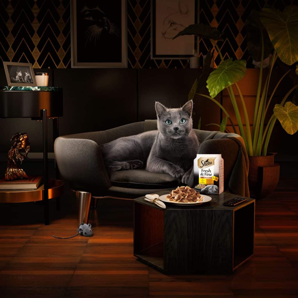 3D Advertising Visual Cat Food Sheba Full Advert