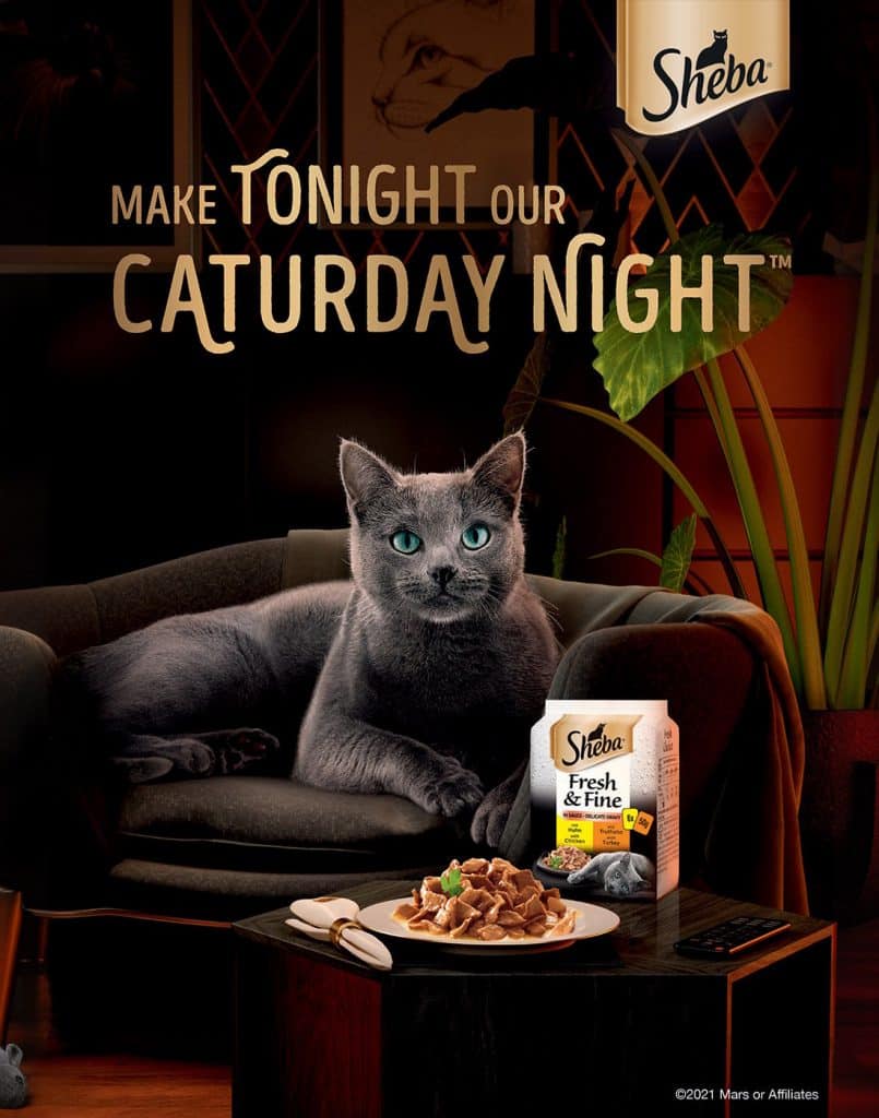 3D Advertising Visual Cat Food Sheba Print Advert