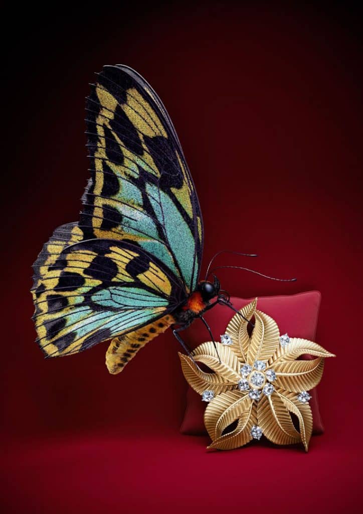 CGI Butterfly and Jewellery Visual 3D Advertising Illustration Cartier Portrait