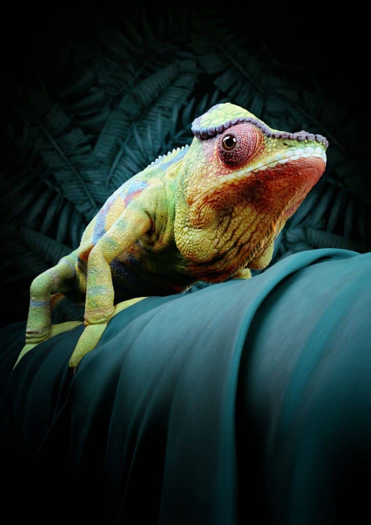 CGI Image Chameleon 3D Animal Illustration Portrait