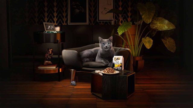 3D Advertising Visual Cat Food Sheba
