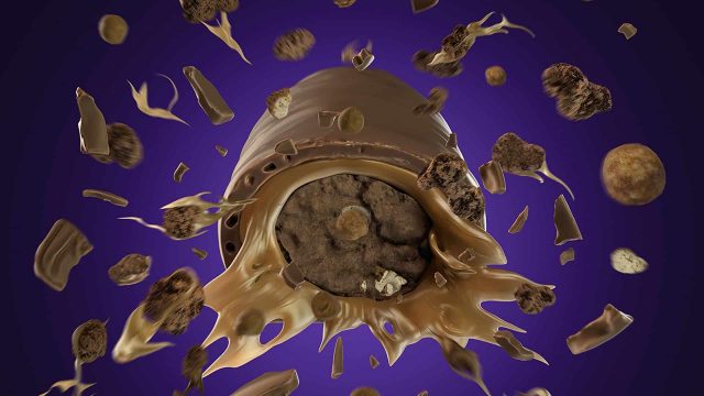 3D Animation Cadbury Chocolate