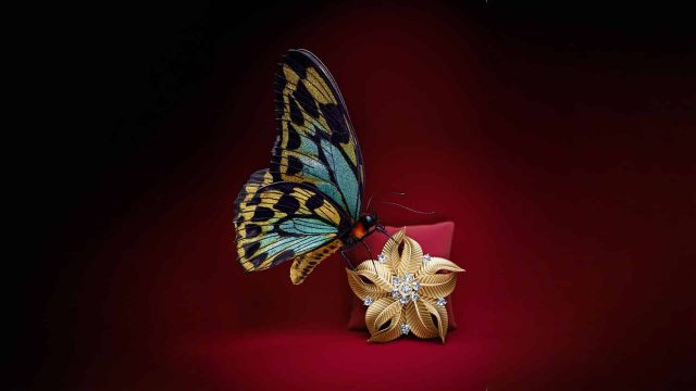 CGI Butterfly and Jewellery Visual 3D Advertising Illustration Cartier