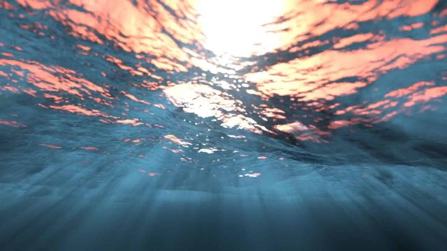 Dufry Sense of Place Australia - Underwater DOOH Animation