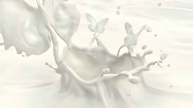 Fluid Animal Forms in CGI Dynamic Liquid Art