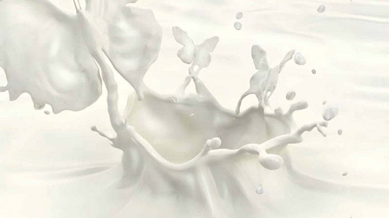 Fluid Animal Forms in CGI Dynamic Liquid Art