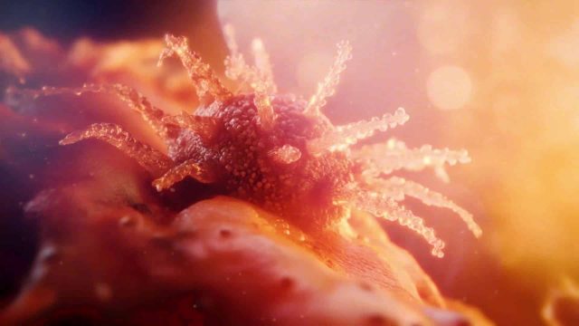 Healthcare and Medical Showreel